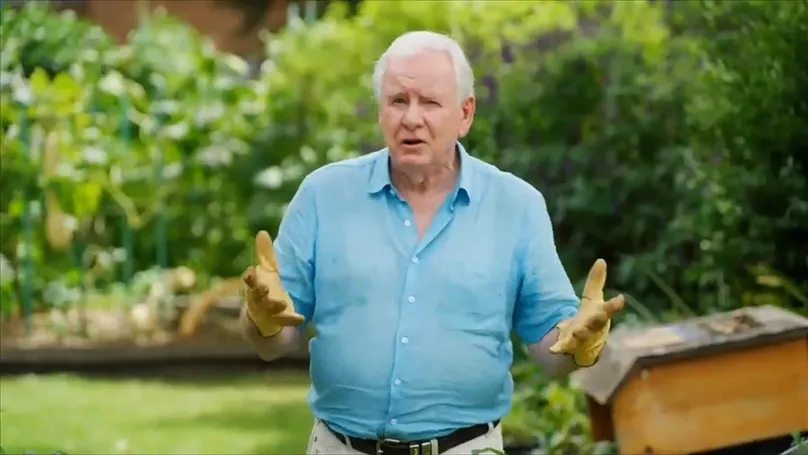 better homes and gardens helpful products