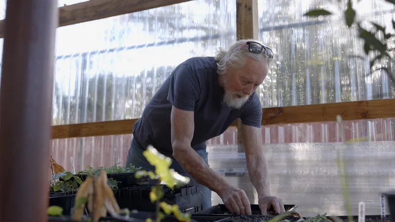 Image of an older man tending to plants in his community garden