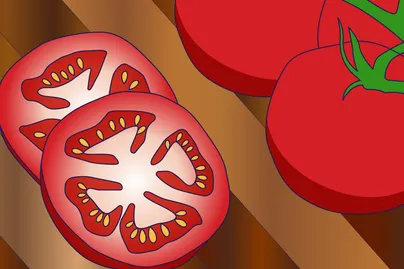 sliced tomato illustration