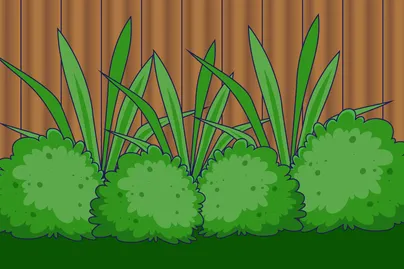 plants outside by a fence illustration